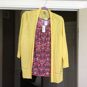 roz & ALI 2X sweater with a Jones Studio 1X Blouse